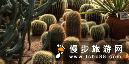 韩国 | 济州岛13大最美景点（下）