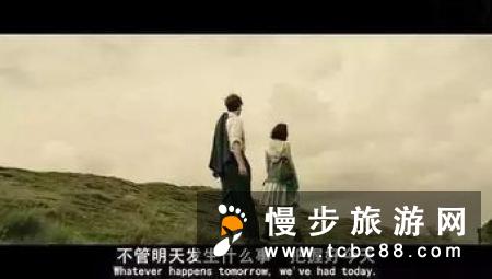 多伦多，虽然我已离去，却始终无法将你忘记！