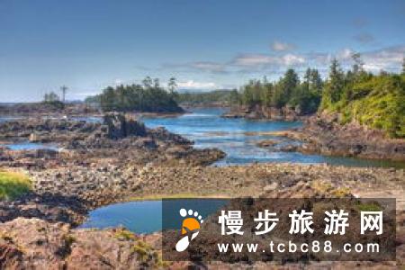盘点去芝加哥旅游最受欢迎的三大公园