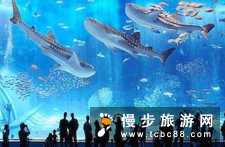 全世界有数不尽的游乐场，但只有一个佛罗里达！